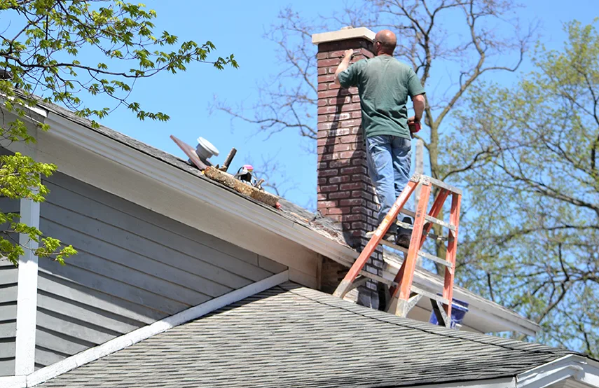 Chimney & Fireplace Inspections Services in DeBary, FL